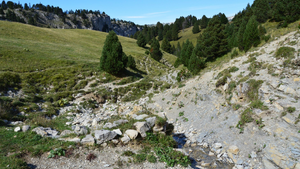 Traitement punaises de lit Challans